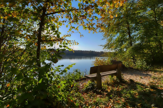 一个视角出 一个视角出